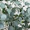6ft. Pre-Lit Artificial Eucalyptus Tree with Warm White LED Lights